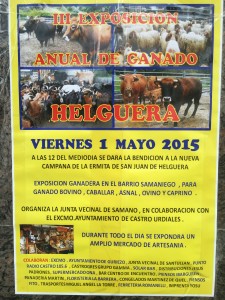 Exposición Ganado Helguera 1 Mayo 2015
