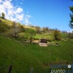 Npos ponemos en ruta Senda Fluvial del Miera-La Concha (7)