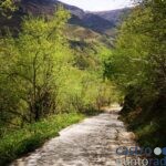 Npos ponemos en ruta Senda Fluvial del Miera-La Concha (8)