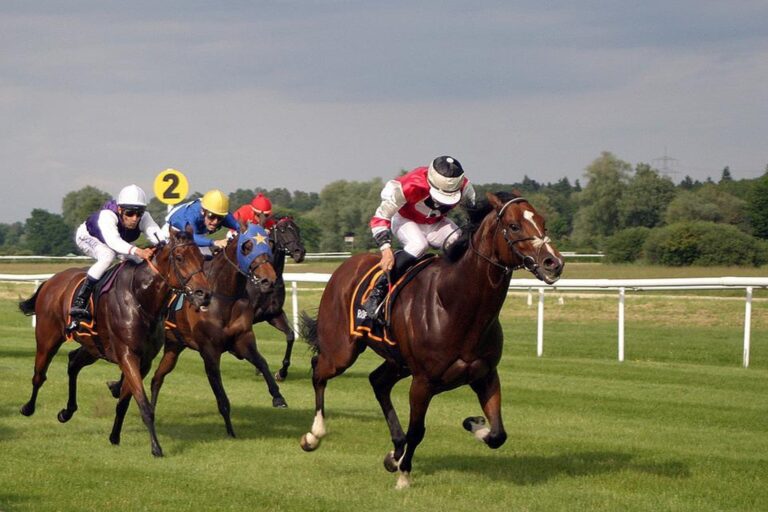 LAS MEJORES CARRERAS DE CABALLOS PARA DISFRUTAR DEL TURF