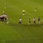 grass-g4815d665c_1280