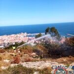 Image-1 (3)