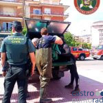 Rescate delfín varado Brazomar (4)