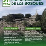 Día Internacional de los Bosques 2024