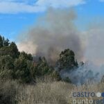 Incendio forestal Mioño hacia La Loma (2)