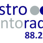 Logo CASTRO PUNTO RADIO 88.2