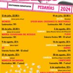 Cine de Verano Juntas Vecinales 2024