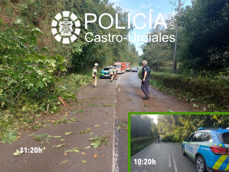 UN ÁRBOL CAE SOBRE LA CARRETERA DE SANTULLÁN A OTAÑES