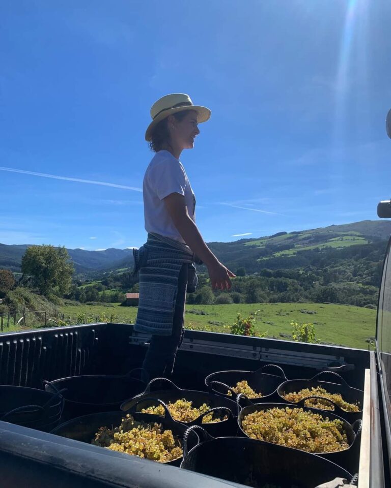 CONCLUYE LA VENDIMIA EN BODEGA HORTANZA DE GURIEZO