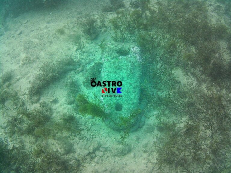 LA DIRECCIÓN GENERAL DE PATRIMONIO ESTUDIARÁ IN SITU EL ANCLA LOCALIZADA POR EL CLUB DE BUCEO OK CASTRO DIVE EN LA ZONA DEL MATADERO PARA CONFIRMAR SI ES DE ÉPOCA ROMANA