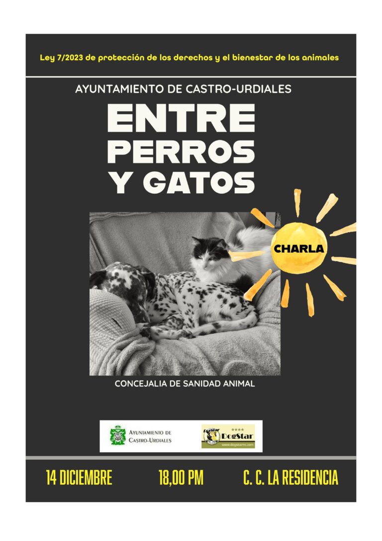 EL AYUNTAMIENTO ORGANIZA UNA CHARLA SOBRE LA NUEVA LEY DE BIENESTAR ANIMAL Y HABILITARÁ UNA EXPOSICIÓN DE LOS CACHORROS DE GATOS DE LAS COLONIAS MUNICIPALES PARA FOMENTAR SU ADOPCIÓN