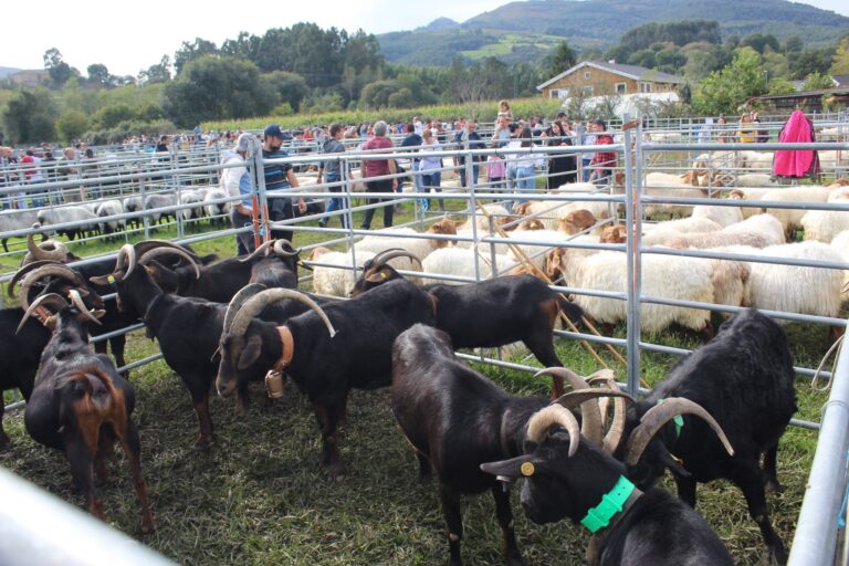 ARRANCA LA CAMPAÑA DE SANEAMIENTO GANADERO PARA BOVINO Y CAPRINO EN GURIEZO, QUE SE EXTENDERÁ HASTA EL 31 DE DICIEMBRE