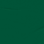 BANNER CAJA RURAL ASTURIAS Web CPR_Que esté tú cuenta 300×250 px