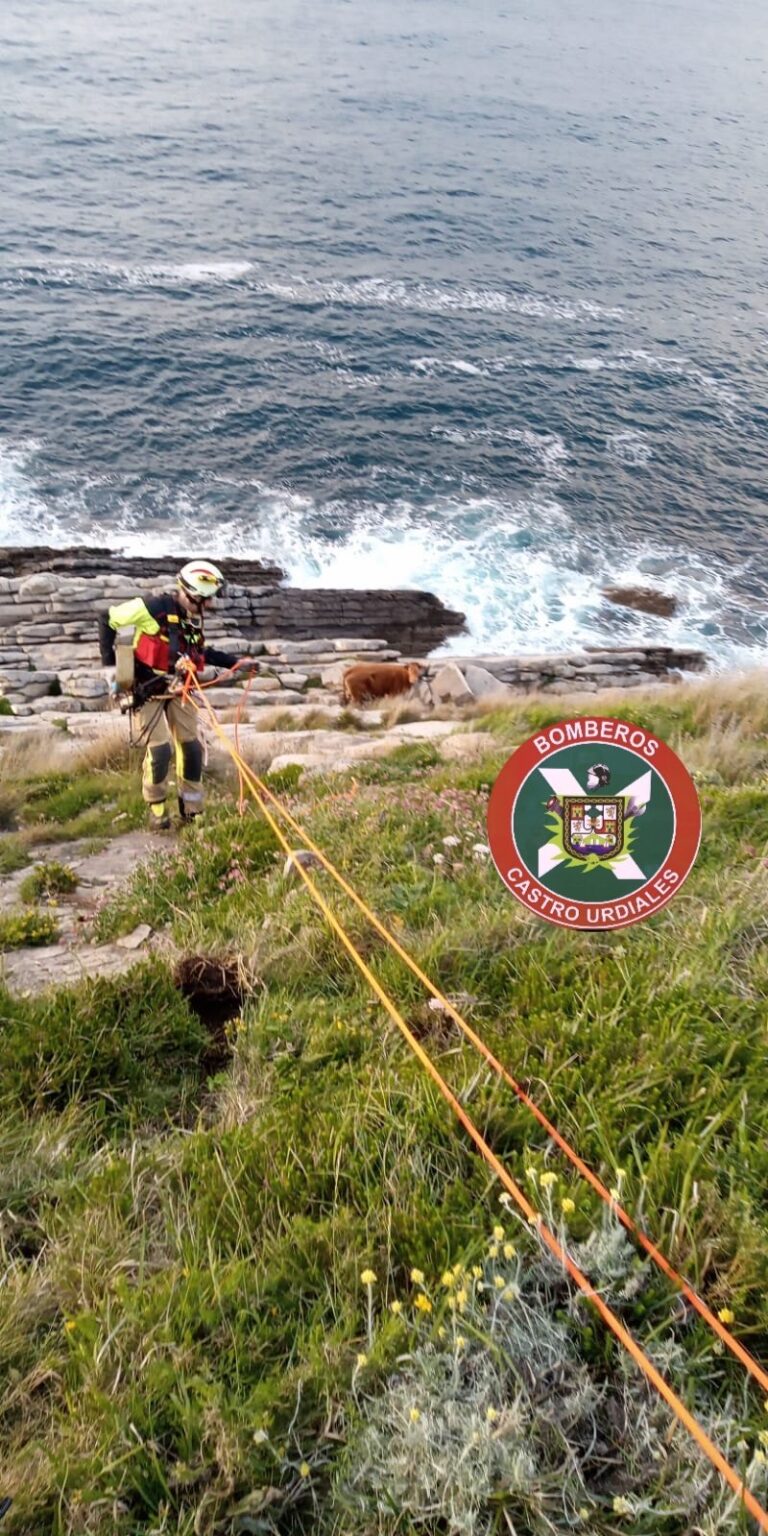 LOS BOMBEROS NO PUEDEN RESCATAR A UNA VACA DE UN ACANTILADO YA QUE EL ANIMAL “EMBESTÍA”