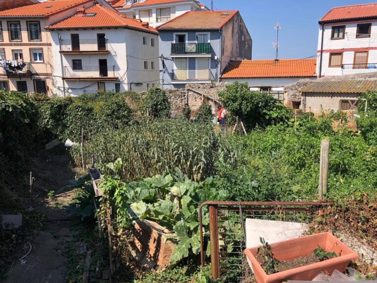 EL AYUNTAMIENTO DE CASTRO URDIALES APRUEBA DEFINITIVAMENTE LA ORDENANZA DE HUERTOS URBANOS