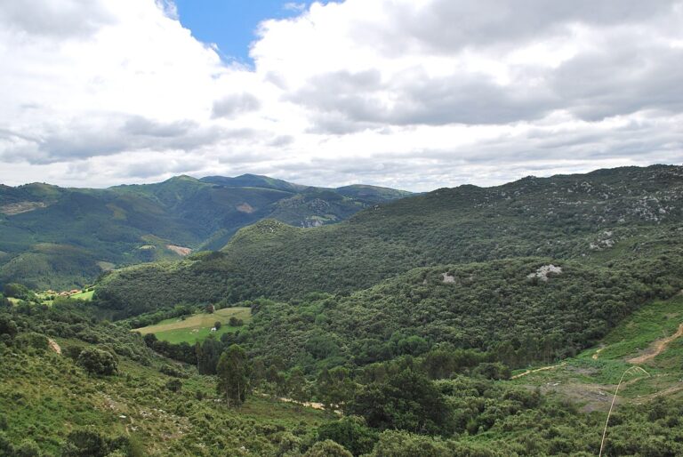 SE MODIFICA EL PERIODO DE COBRO DE LA TASA POR APROVECHAMIENTOS FORESTALES DE GURIEZO