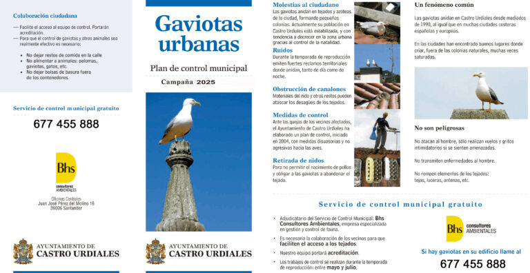 ARRANCA LA CAMPAÑA DE CONTROL POBLACIONAL DE LA GAVIOTA PATIAMARILLA 2025