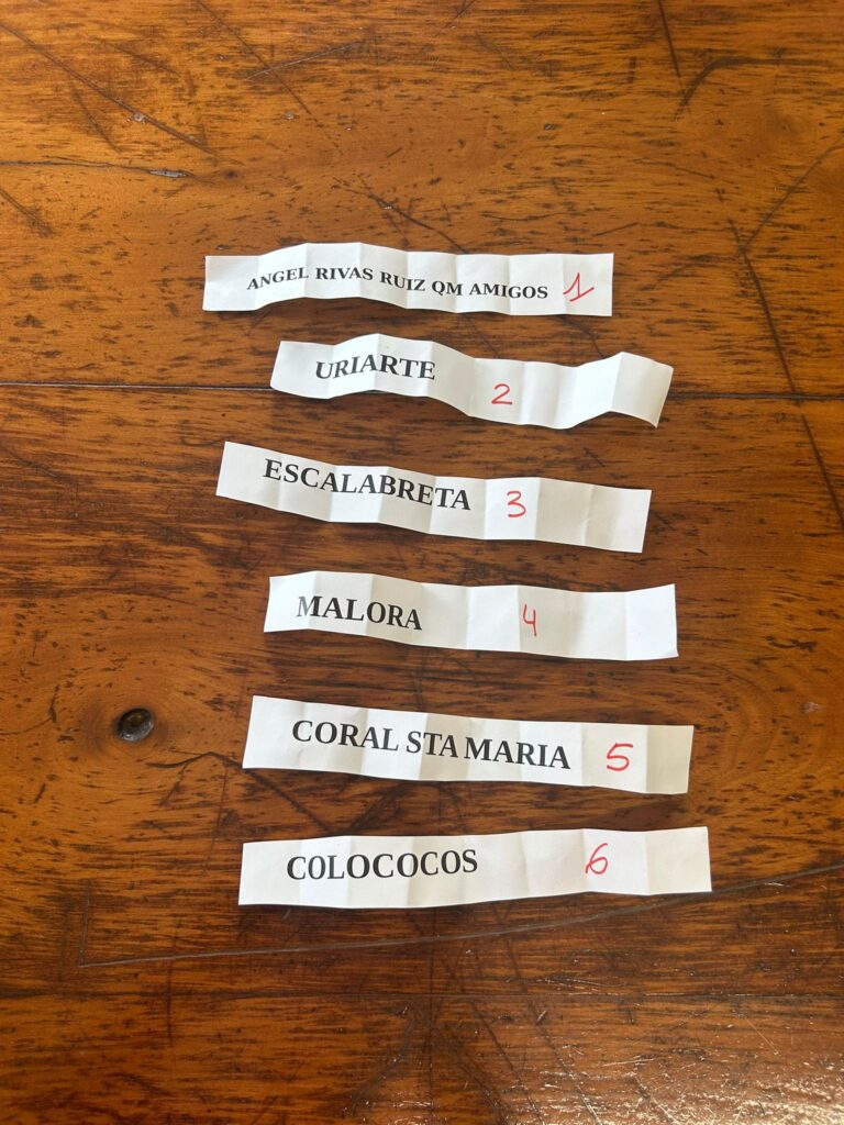 SORTEADO EL ORDEN DE SALIDA DEL DESFILE DE CARROZAS DEL COSO BLANCO 2025 QUE SE CELEBRA ESTE VIERNES