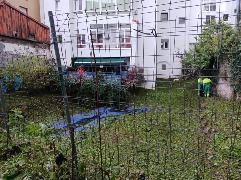 EL AYUNTAMIENTO DE CASTRO URDIALES COMIENZA CON LOS TRABAJOS DE DESBROCE Y DESRATIZACIÓN DEL SOLAR DE LA TRAVESÍA DE JAVIER ECHAVARRÍA CON RESTOS ARQUELOGICOS