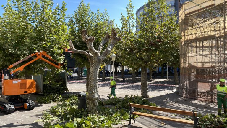 EL PRC PIDE A LA ALCALDESA QUE SOLICITE UN INFORME AL INGENIERO AGRÓNOMO MUNICIPAL SOBRE EL TRASLADO «DE LOS ÁRBOLES CENTENARIOS DE LA BARRERA»