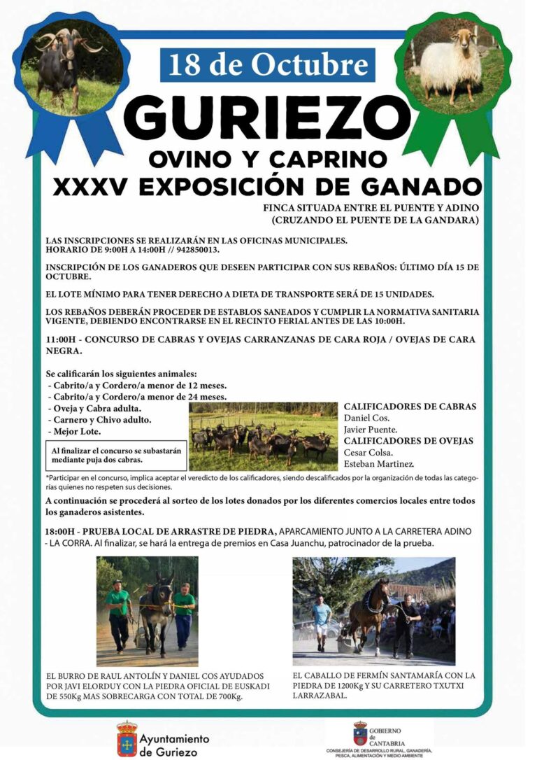 SUSPENDIDA PREVENTIVAMENTE LA FERIA DE GANADO OVINO Y CAPRINO DE GURIEZO PREVISTA PARA ESTE SÁBADO 18 DE OCTUBRE POR LOS BROTES DE DERMATOSIS NODULAR CONTAGIOSA DETECTADOS EN CANTABRIA