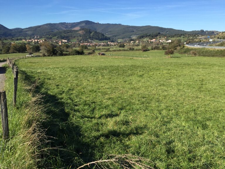 EL AYUNTAMIENTO DE CASTRO URDIALES ABRE UN PERIODO DE CONSULTA A LOS CIUDADANOS PREVIO A LA CREACIÓN DE UNA ORDENANZA DE PROTECCIÓN DEL SUELO RÚSTICO