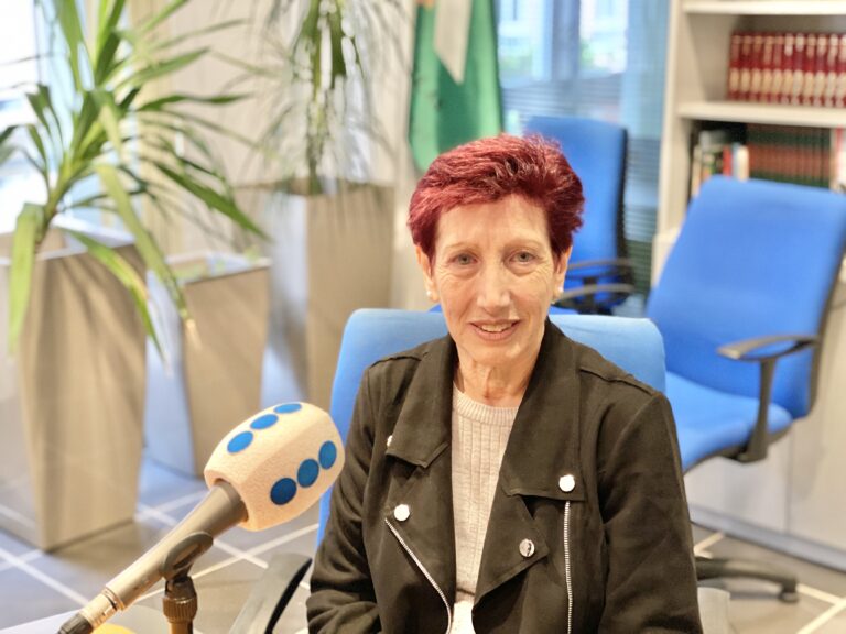 LAS ACERAS, LA FALTA DE CUARTOS DE BAÑO ACCESIBLES EN ALGUNOS ESTABLECIMIENTOS Y CIERTOS PROBLEMAS CON EL CASTROBÚS, ENTRE LAS PRINCIPALES PREOCUPACIONES DE LAS PERSONAS CON DISCAPACIDAD