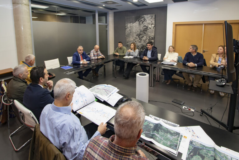 EL GOBIERNO REGIONAL SOLICITARÁ AL MINISTERIO DE TRANSPORTES AMPLIAR EN UN MES EL PLAZO PARA PRESENTAR ALEGACIONES AL ESTUDIO INFORMATIVO DEL TREN SANTANDER-BILBAO