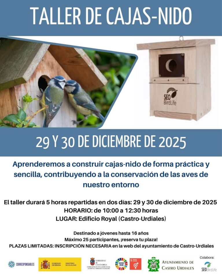 EL AYUNTAMIENTO DE CASTRO URDIALES ORGANIZA UN TALLER DE ELABORACIÓN DE CAJAS NIDO Y UNA JORNADA DE AVISTAMIENTO DE AVES DIRIGIDO A LOS MENORES DEL MUNICIPIO