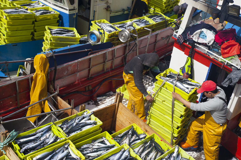 EL GOBIERNO DE CANTABRIA TRASLADA AL MINISTERIO EL MALESTAR DE LA FLOTA PESQUERA POR LAS NUEVAS EXIGENCIAS DEL REGLAMENTO EUROPEO DE CONTROL DE PESCA