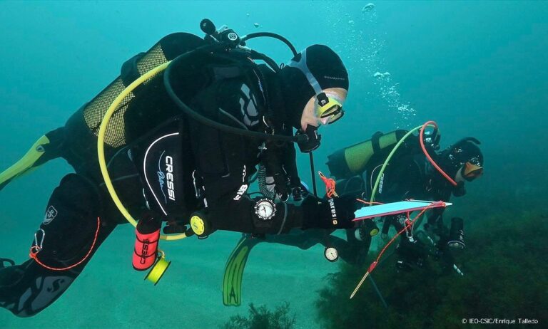 LA CONCEJALA DE TURISMO ANUNCIA QUE EN FITUR PRESENTARÁN EL FONDO MARINO DE CASTRO URDIALES “PARA PONER EN VALOR NUESTRO PATRIMONIO NATURAL”
