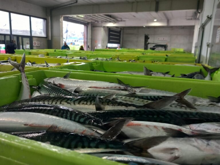 ROBERTO GUTIÉRREZ, DEL GAC ORIENTAL DE CANTABRIA, ADVIERTE SOBRE LOS CAMBIOS ANUNCIADOS EN EL MARCO FINANCIERO EUROPEO: “HABRÁ UN ÚNICO FONDO POR PAÍS Y TODO EL MUNDO SE TENDRÁ QUE MATAR PARA OBTENER FINANCIACIÓN”